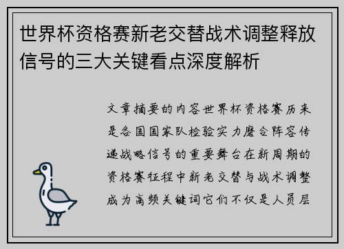 世界杯资格赛新老交替战术调整释放信号的三大关键看点深度解析